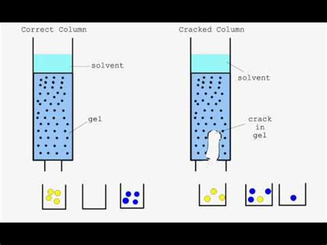 column chromatography animation|Iba pa.
